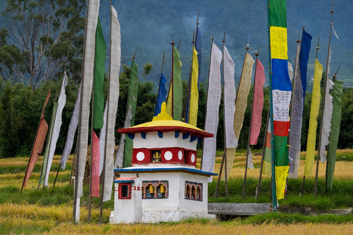 4-Day Punakha Quick Journey image